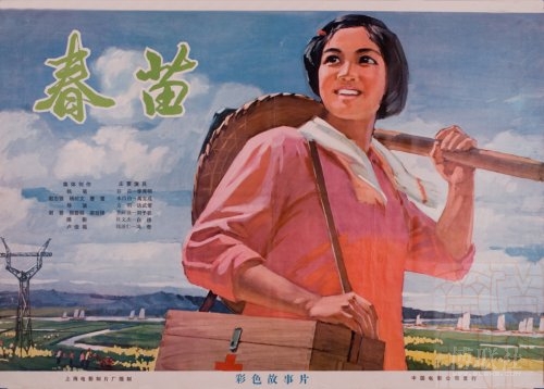 邢台高中毕业证图片